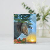 De Cherokee Pop Briefkaart (Staand voorkant)