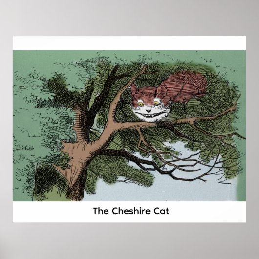 De Cheshirekat Poster (Voorkant)
