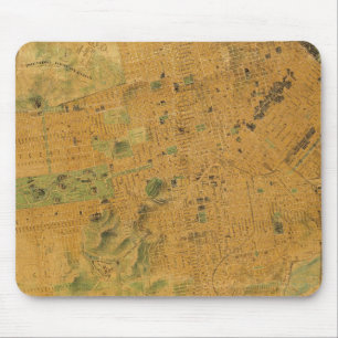 De Chevalier Map van San Francisco Muismat