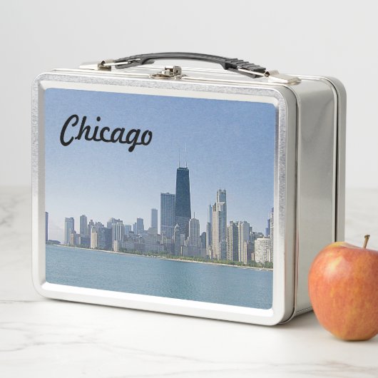 De Chicago Skyline (In situ)