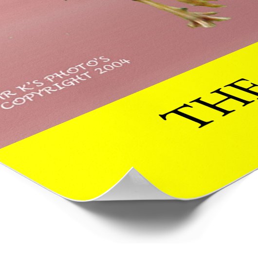 DE CHICKEN POSTER (Hoek)