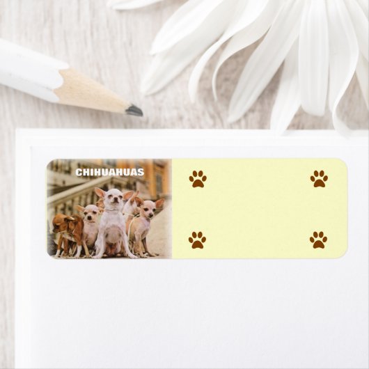 De Chihuahua-bende Etiket (Insitu)