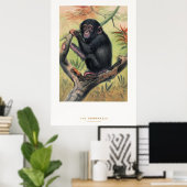De chimpansee, Dierkundige schetsen, Poster (Thuiskantoor)