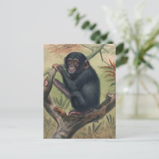De Chimpansee van Joseph Wolf Briefkaart (Staand voorkant)