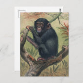 De Chimpansee van Joseph Wolf Briefkaart (Voorkant / Achterkant)