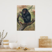 De Chimpansee van Joseph Wolf Poster (Keuken)