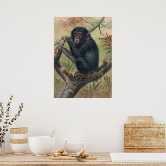 De Chimpansee van Joseph Wolf Poster (Keuken)