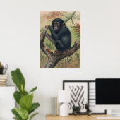 De Chimpansee van Joseph Wolf Poster (Thuiskantoor)