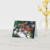 De Chinese Bloemen van de Lelie van de Tijger Kaart (Gele Bloem)