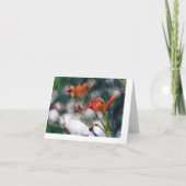 De Chinese Bloemen van de Lelie van de Tijger Kaart (Achterkant)