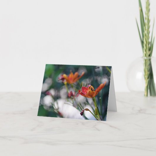 De Chinese Bloemen van de Lelie van de Tijger Kaart (Voorkant)