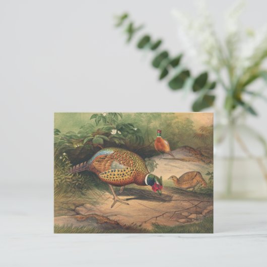 De Chinese fazant van Joseph Wolf Briefkaart (Staand voorkant)