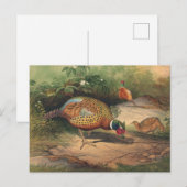 De Chinese fazant van Joseph Wolf Briefkaart (Voorkant / Achterkant)