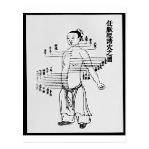 Poster - Skelet voor en achter 50x67 cm