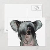 De Chinese kuifhond Briefkaart (Voorkant / Achterkant)