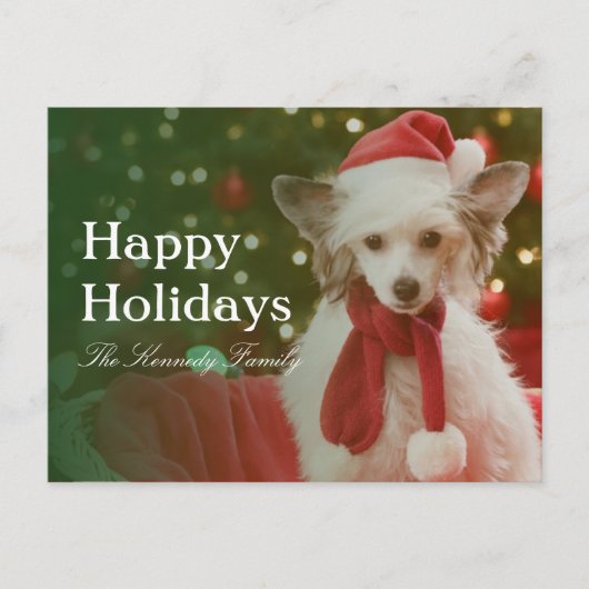 De Chinese Kuifzitting van de Hond in verfraaide Feestdagenkaart (Voorkant)