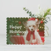 De Chinese Kuifzitting van de Hond in verfraaide Feestdagenkaart (Staand voorkant)