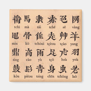 De Chinese Magneet van het Alfabet