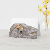 De chipmunk kaart (Gele Bloem)