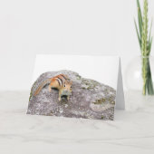 De chipmunk kaart (Voorkant)