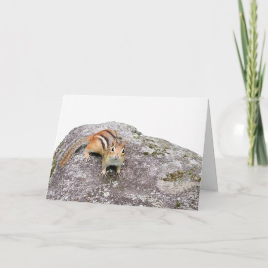 De chipmunk kaart (Voorkant)