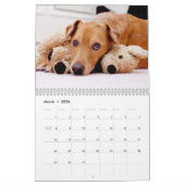 De Chuck Calendar van 2013 Kalender (Mar 2026)