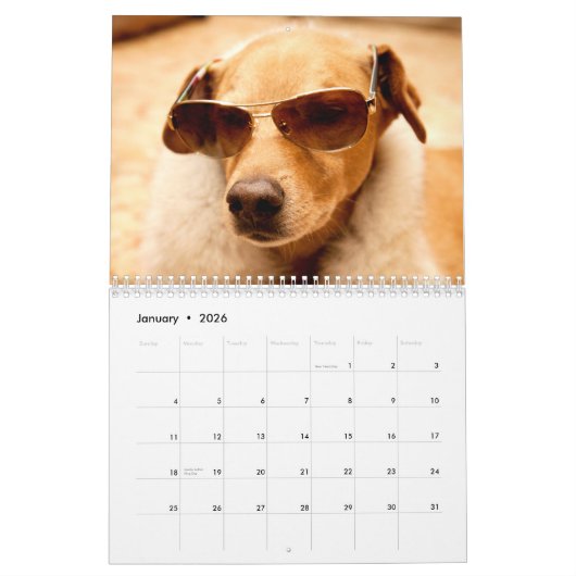 De Chuck Calendar van 2013 Kalender (Jan 2026)