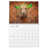 De Chuck Calendar van 2014 Kalender (Mar 2027)