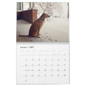 De Chuck Calendar van 2014 Kalender (Jan 2027)