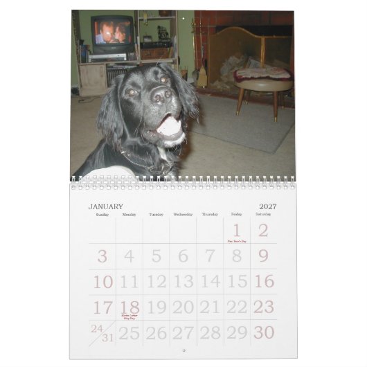 De Cicoletti-familie Kalender (Jan 2027)