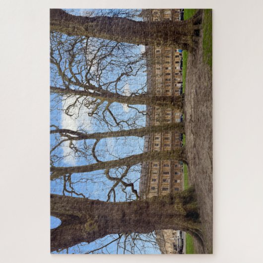 De Circus, de stad Bath. Legpuzzel (Verticaal)