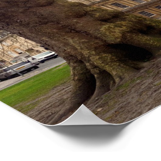 De Circus, de stad Bath. Poster (Hoek)