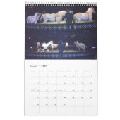 De CIRCUS-kalender Kalender (Mar 2027)