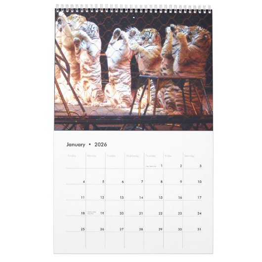 De CIRCUS-kalender Kalender (Jan 2026)