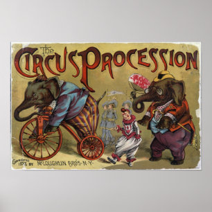 De circusprocedure poster
