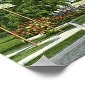 De Cirkel, Hollywood, Florida Vintage Poster (Hoek)