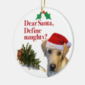 De cirkelvormgeving van het Naughty Lab Keramisch Ornament (Links)