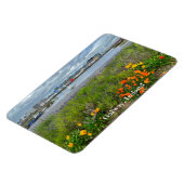 De Claddagh (Galway Bay) in Galway, Ierland Magneet (Linkerzijde)