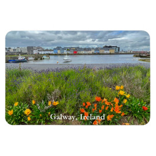 De Claddagh (Galway Bay) in Galway, Ierland Magneet
