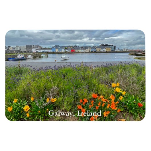 De Claddagh (Galway Bay) in Galway, Ierland Magneet (Horizontaal)