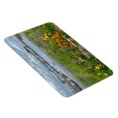 De Claddagh (Galway Bay) in Galway, Ierland Magneet (Rechterzijde)