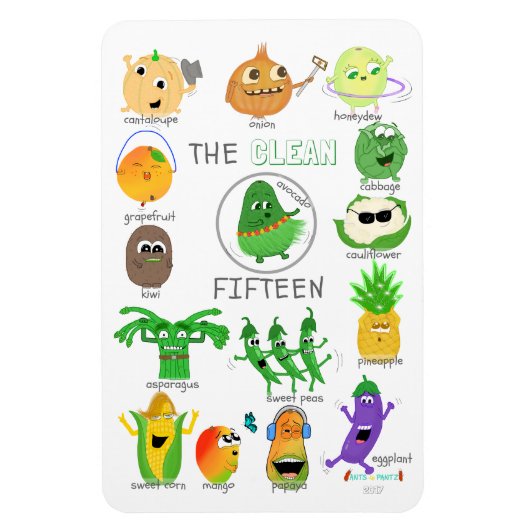 De Clean 15 geïllustreerde lijst - 2017 (gelabeld) Magneet (Verticaal)