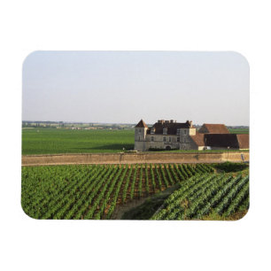 De Clos de Vougeot 16e-eeuwse klooster en Magneet