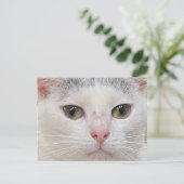 De close-up ansichtkaart van George de Kat Feestdagenkaart (Staand voorkant)