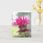 De Close-up Notecard van de Balsem van de bij Kaart (Gele Bloem)