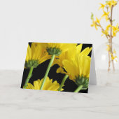 De Close-up van madeliefjes Kaart (Gele Bloem)