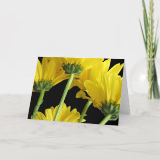 De Close-up van madeliefjes Kaart