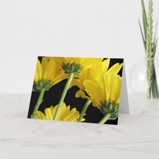 De Close-up van madeliefjes Kaart (Voorkant)