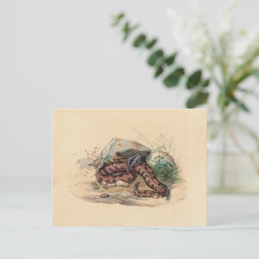 De Clotho van Joseph Wolf Briefkaart (Staand voorkant)