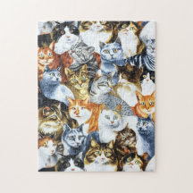 De Clowder van de CATS